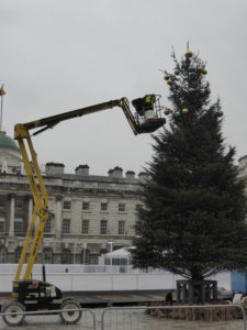 The Christmas tree goes up in Somerset House courtyard
