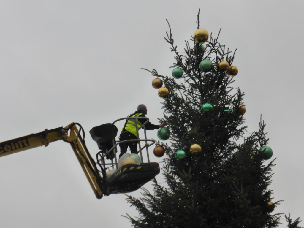 The Christmas tree goes up in Somerset House courtyard