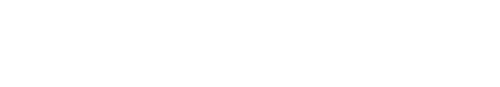 Strandlines logo (white)