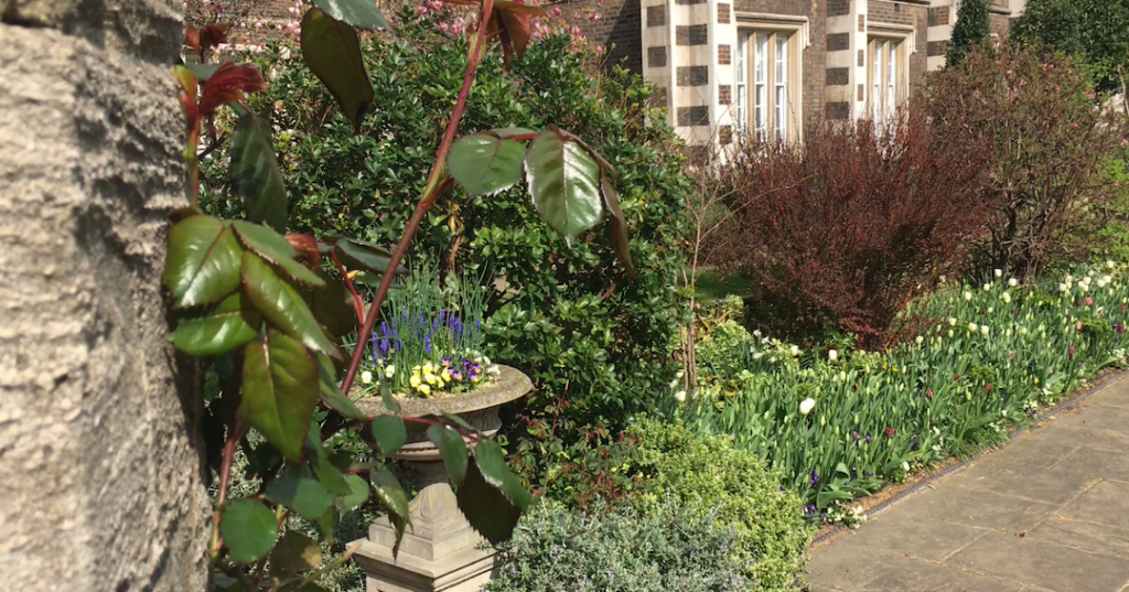 Middle Temple Gardens