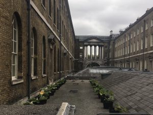 The 'ground level' 'roof': photo taken from the walkway that joins the West and New Wings of Somerset House, with rhubarb pots visible.