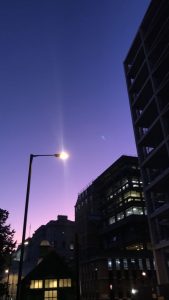 The Strand Campus, taken from Temple Place, Sarah Mir.